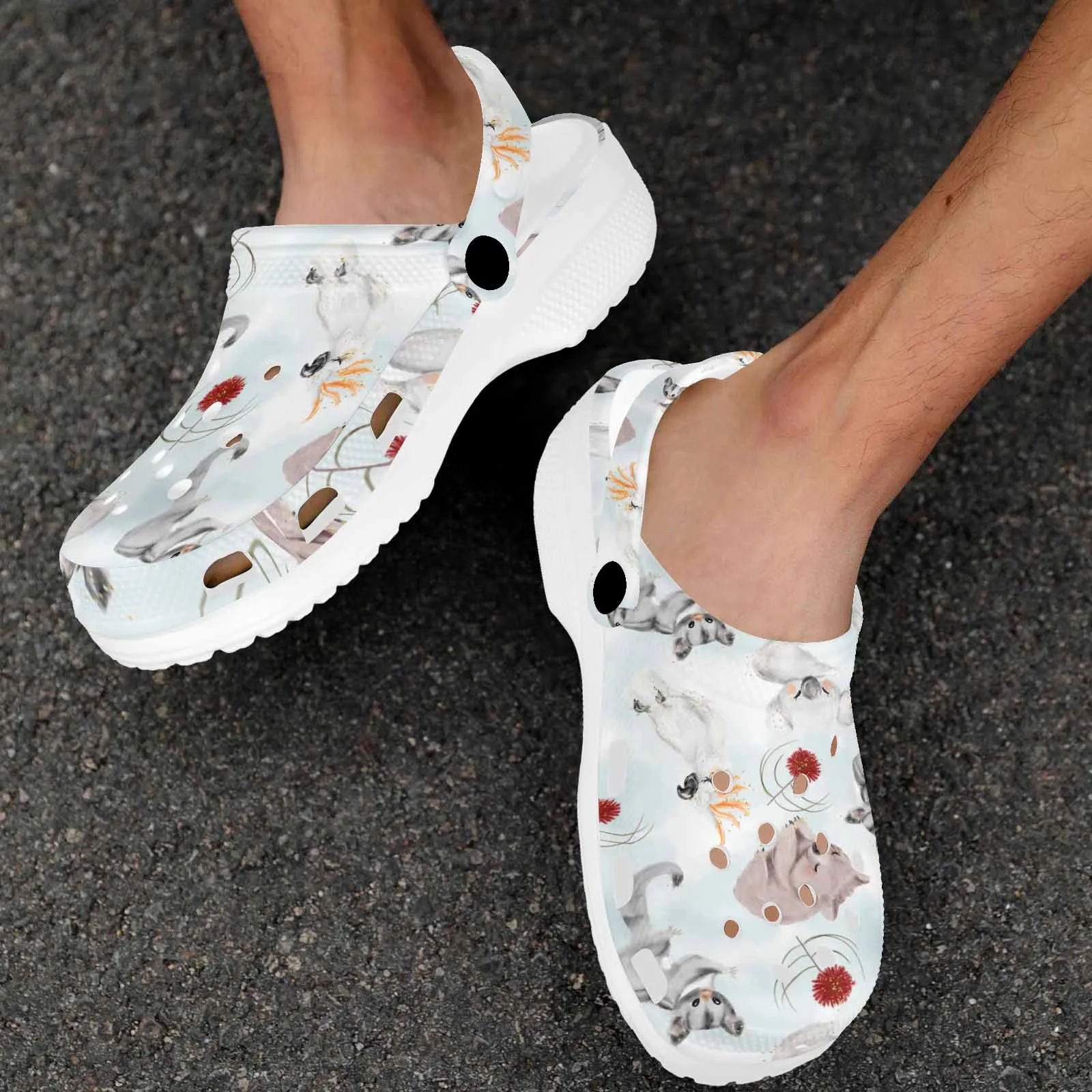 Australian Animals Koala, Sugar Glider, Wombat  Custom Print Adults Clogs